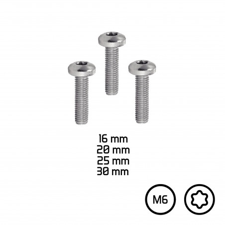 VISSERIE MARINE TÊTE PLATE TORX - M6