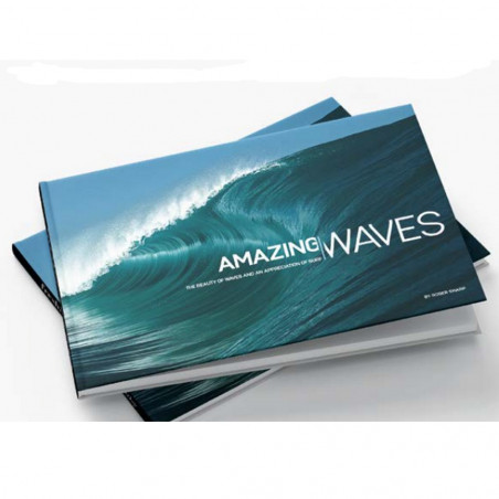 LIVRE NORTHCORE AMAZING WAVES