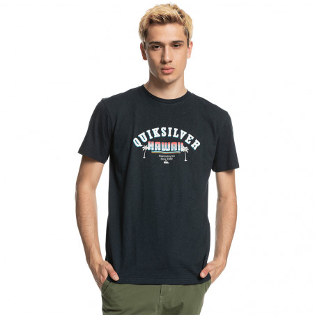 T-shirt Quiksilver Hawaii calls Noir