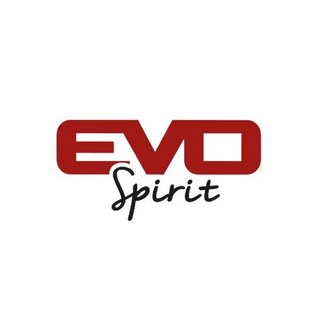 Evo Spirit