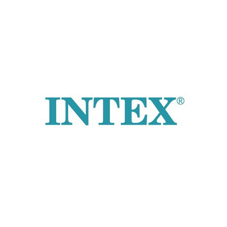 Intex