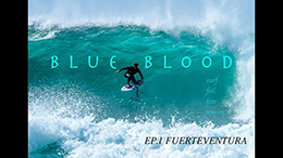 Blue Blood in Fuerteventura