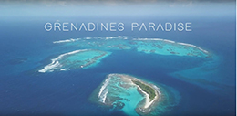 Grenadines Paradise