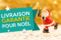 Votre livraison garantie pour Noël !