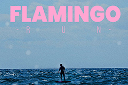 Le "Flamingo Run" by F-ONE