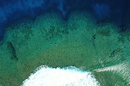 Outer reef