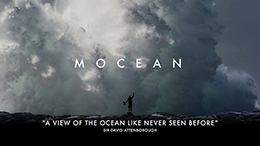 MOCEAN